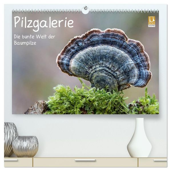 Pilzgalerie - Die bunte Welt der Baumpilze (hochwertiger Premium Wandkalender 2027 DIN A2 quer) Kunstdruck in Hochglanz