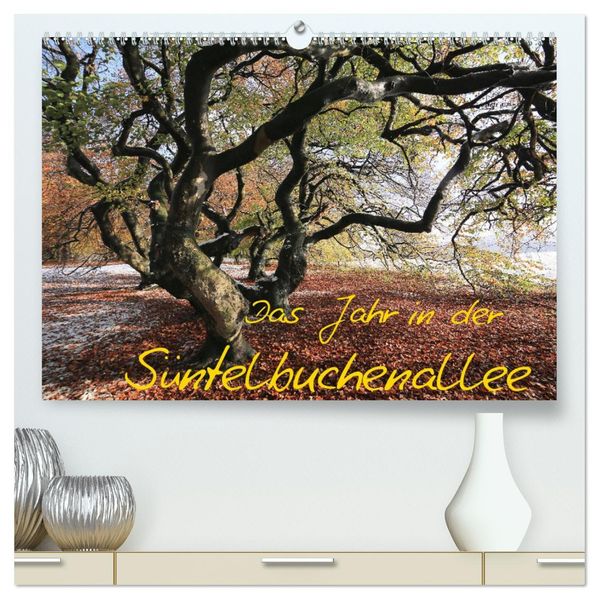 Das Jahr in der Süntelbuchenallee (hochwertiger Premium Wandkalender 2027 DIN A2 quer) Kunstdruck in Hochglanz
