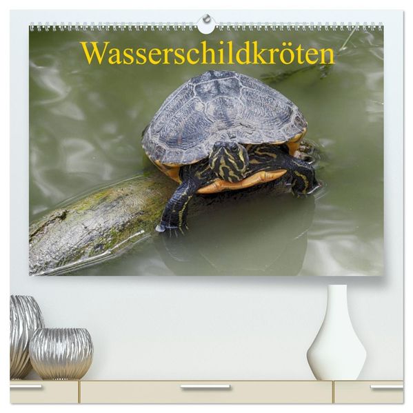 Wasserschildkröten (hochwertiger Premium Wandkalender 2027 DIN A2 quer) Kunstdruck in Hochglanz