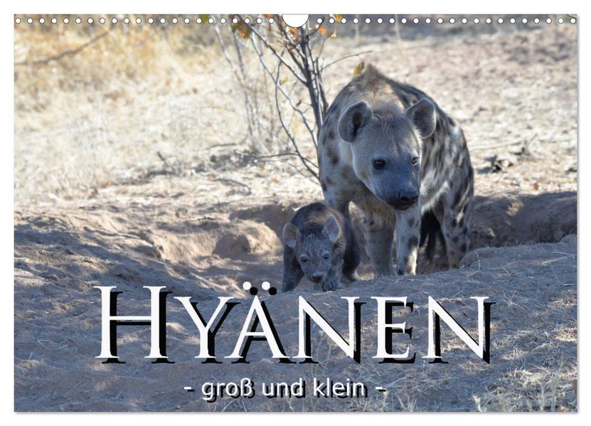 Hyänen - groß und klein (Wandkalender 2027 DIN A3 quer) CALVENDO Monatskalender