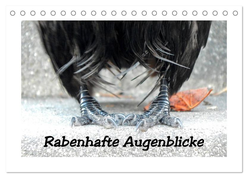 Rabenhafte Augenblicke (Tischkalender 2027 DIN A5 quer) CALVENDO Monatskalender
