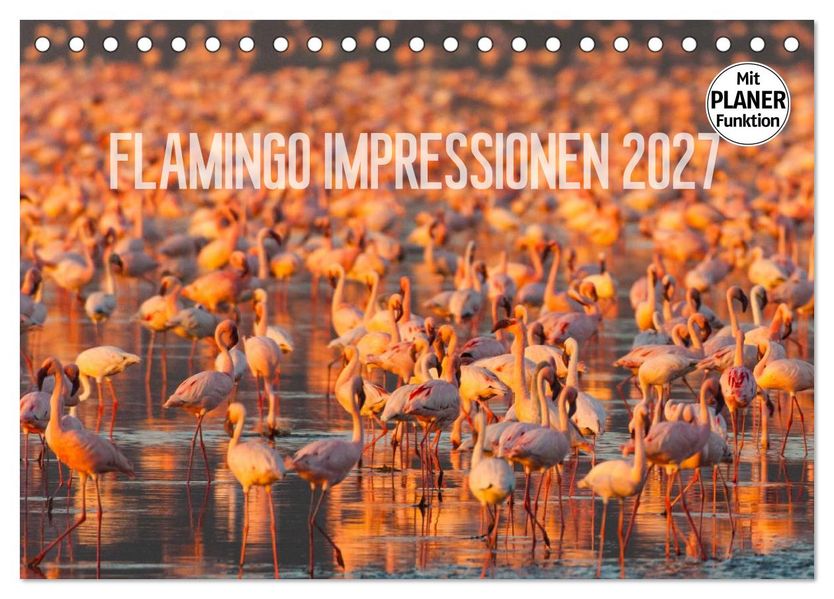Flamingo Impressionen 2027 (Tischkalender 2027 DIN A5 quer) CALVENDO Monatskalender