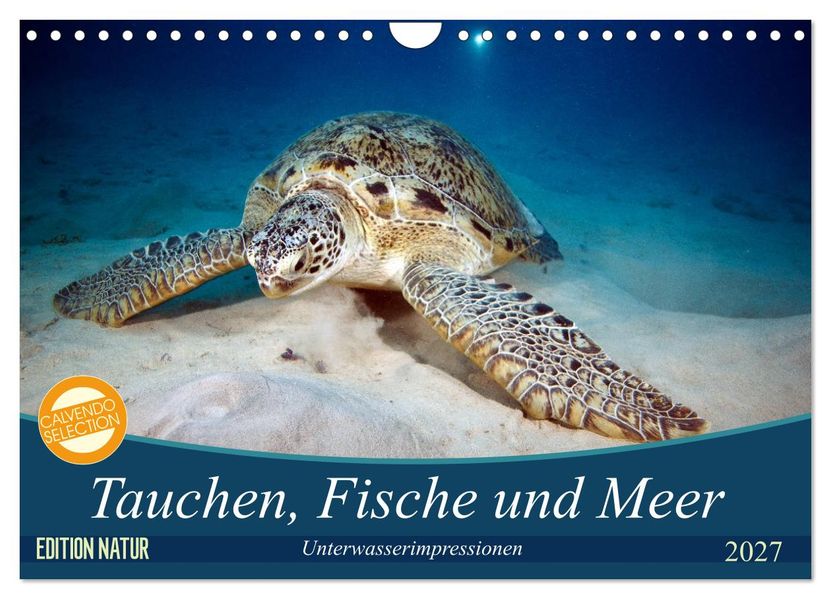 Tauchen Fische und Meer (Wandkalender 2027 DIN A4 quer) CALVENDO Monatskalender