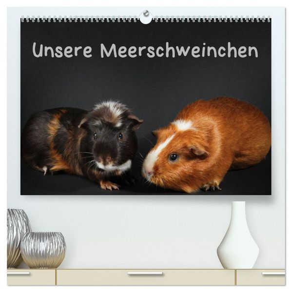 Unsere Meerschweinchen (hochwertiger Premium Wandkalender 2027 DIN A2 quer) Kunstdruck in Hochglanz