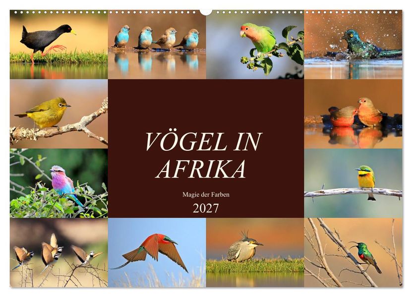 Vögel in Afrika - Magie der Farben (Wandkalender 2027 DIN A2 quer) CALVENDO Monatskalender