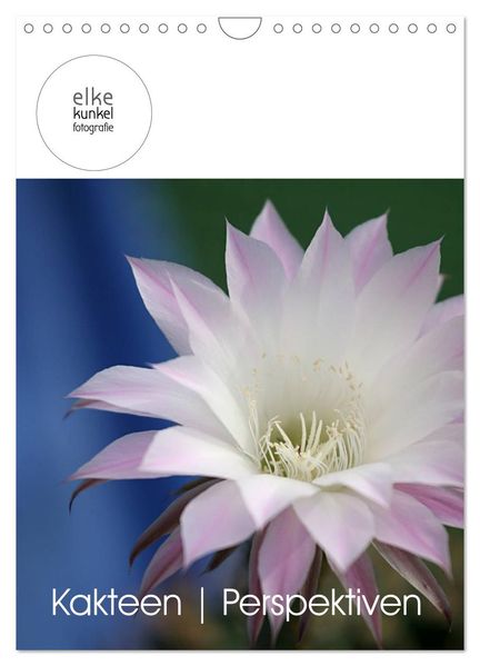 Kakteen Perspektiven (Wandkalender 2027 DIN A4 hoch) CALVENDO Monatskalender