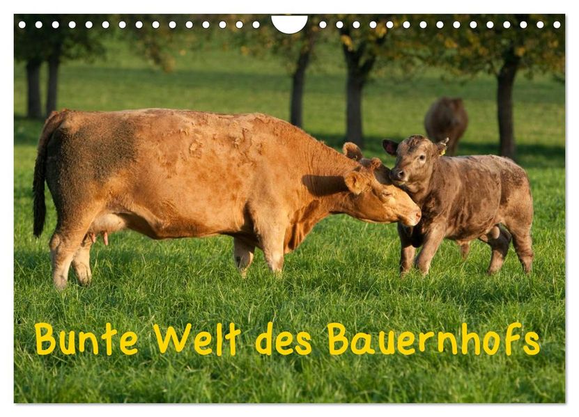 Bunte Welt des Bauernhofs (Wandkalender 2027 DIN A4 quer) CALVENDO Monatskalender