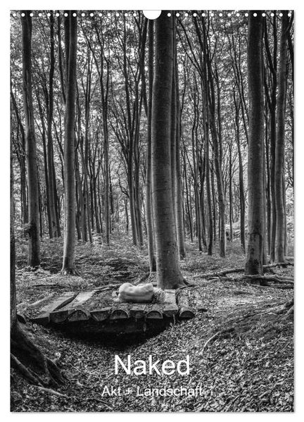 Naked: Akt + Landschaft (Wandkalender 2027 DIN A3 hoch) CALVENDO Monatskalender