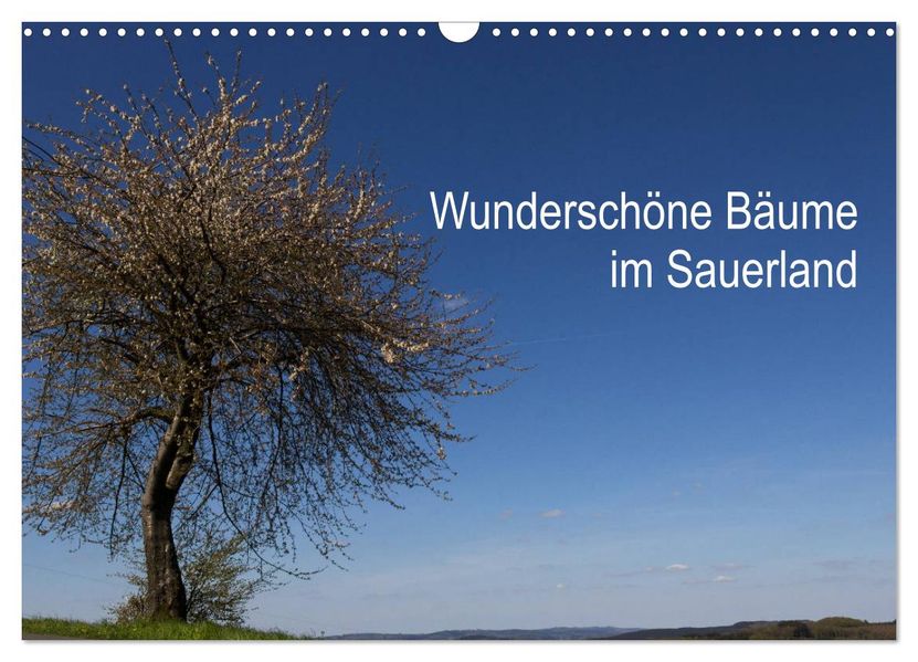 Wunderschöne Bäume im Sauerland (Wandkalender 2027 DIN A3 quer) CALVENDO Monatskalender