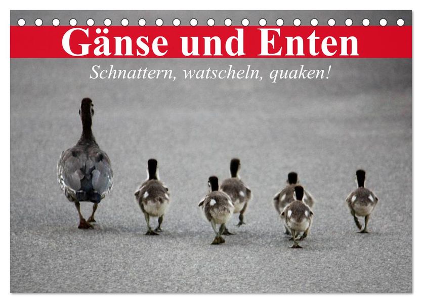 Gänse und Enten. Schnattern watscheln quaken! (Tischkalender 2027 DIN A5 quer) CALVENDO Monatskalender