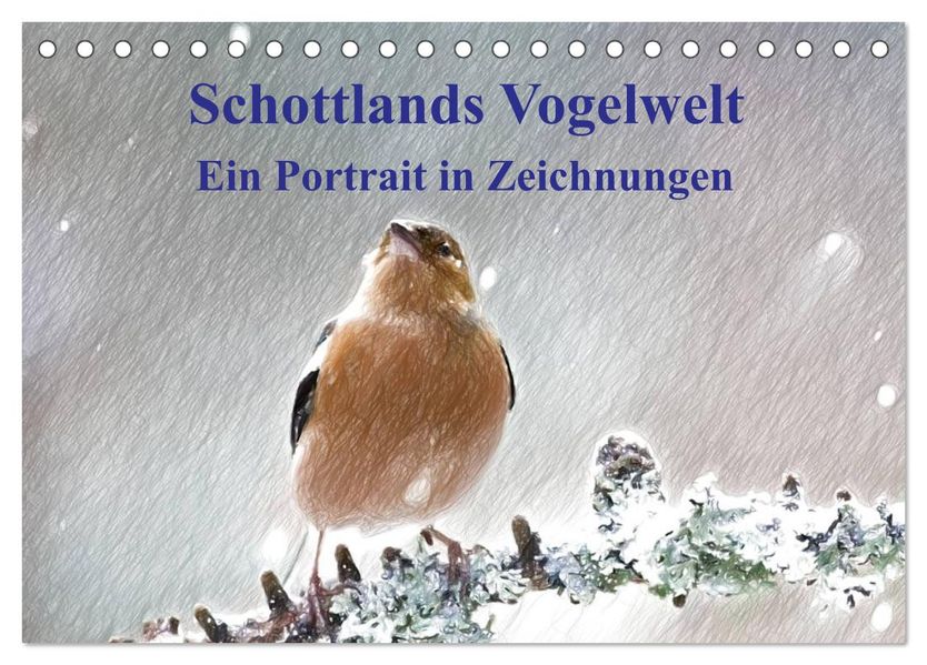 Schottlands Vogelwelt - Ein Porträt in Zeichnungen (Tischkalender 2027 DIN A5 quer) CALVENDO Monatskalender
