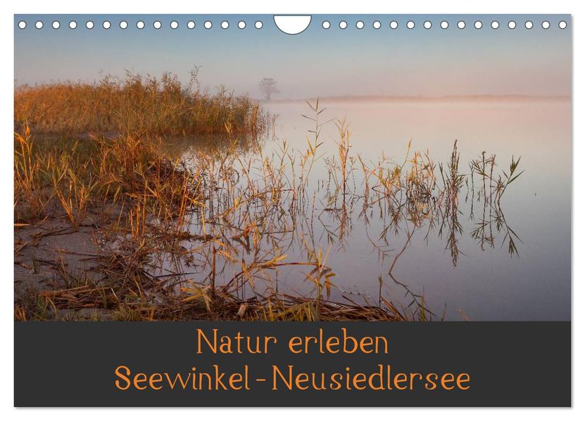 Natur erleben Seewinkel-Neusiedlersee (Wandkalender 2027 DIN A4 quer) CALVENDO Monatskalender