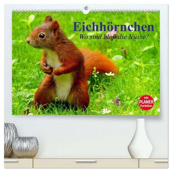 Eichhörnchen. Wo sind bloß die Nüsse? (hochwertiger Premium Wandkalender 2027 DIN A2 quer) Kunstdruck in Hochglanz