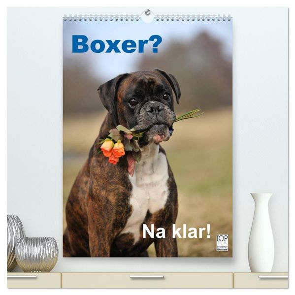 Boxer? Na klar! (hochwertiger Premium Wandkalender 2027 DIN A2 hoch) Kunstdruck in Hochglanz