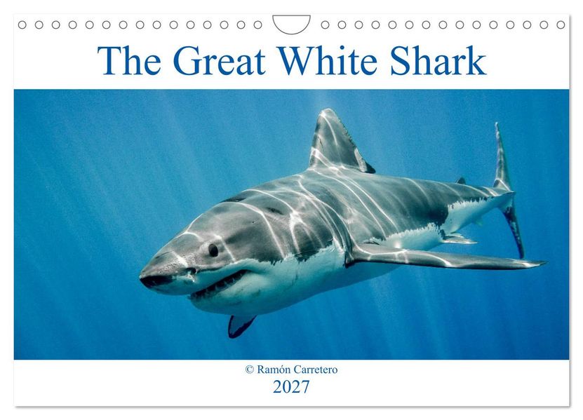 The Great White Shark: King of the Ocean (Wall Calendar 2027 DIN A4 landscape) CALVENDO 12 Month Wall Calendar