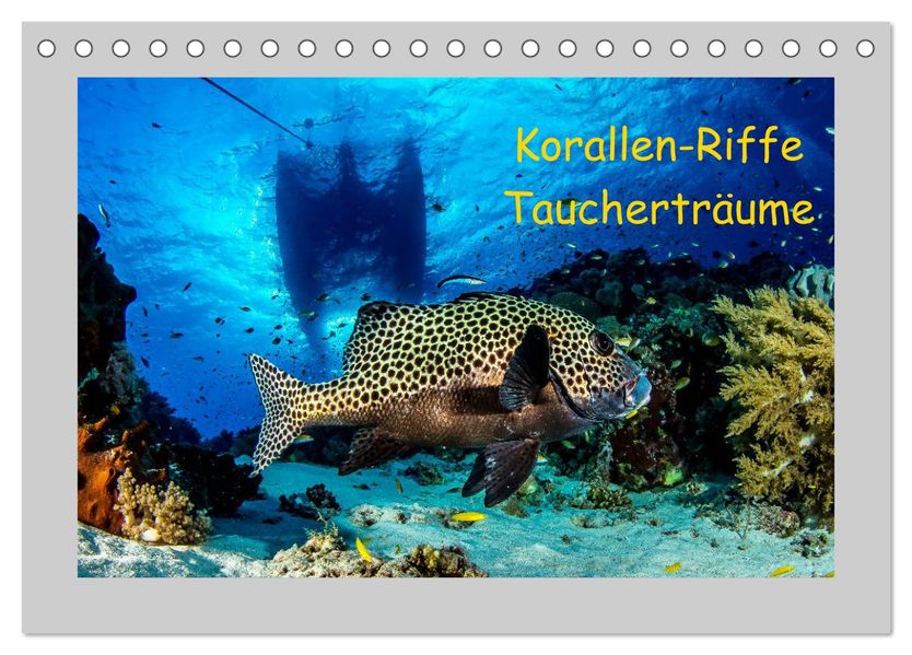 Korallen-Riffe Taucherträume (Tischkalender 2027 DIN A5 quer) CALVENDO Monatskalender