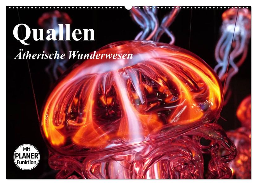 Quallen. Ätherische Wunderwesen (Wandkalender 2027 DIN A2 quer) CALVENDO Monatskalender