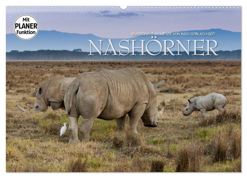 Emotionale Momente: Nashörner (Wandkalender 2027 DIN A2 quer) CALVENDO Monatskalender