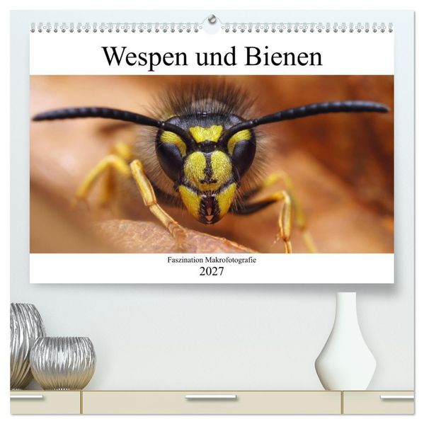 Faszination Makrofotografie: Wespen und Bienen (hochwertiger Premium Wandkalender 2027 DIN A2 quer) Kunstdruck in Hochglanz