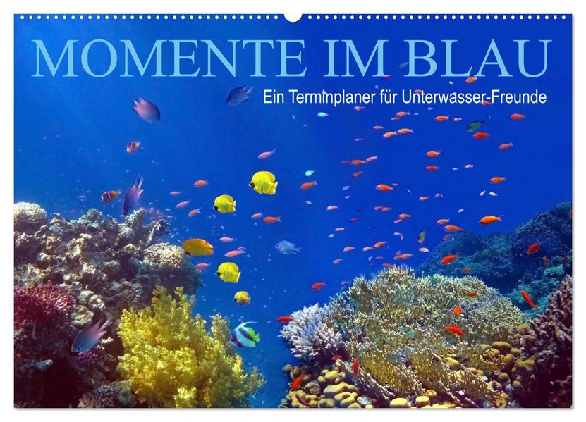 Momente im Blau - Ein Terminplaner für Unterwasser-Freunde (Wandkalender 2027 DIN A2 quer) CALVENDO Monatskalender