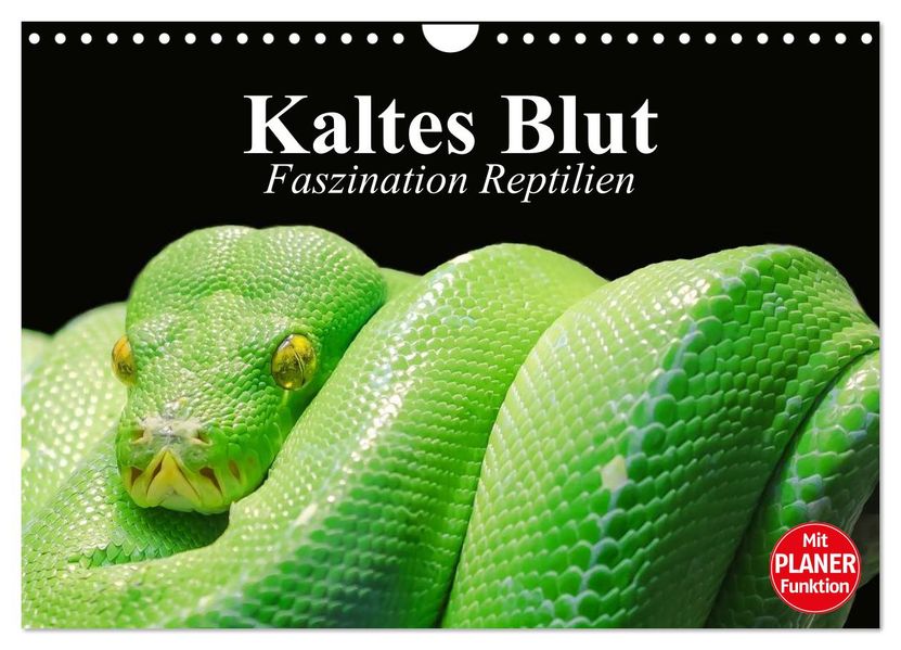 Kaltes Blut. Faszination Reptilien (Wandkalender 2027 DIN A4 quer) CALVENDO Monatskalender