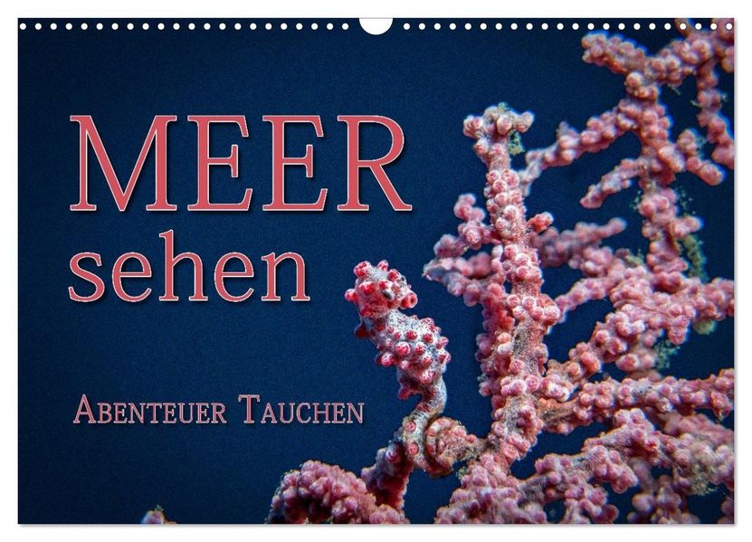 Meer sehen - Abenteuer Tauchen (Wandkalender 2027 DIN A3 quer) CALVENDO Monatskalender
