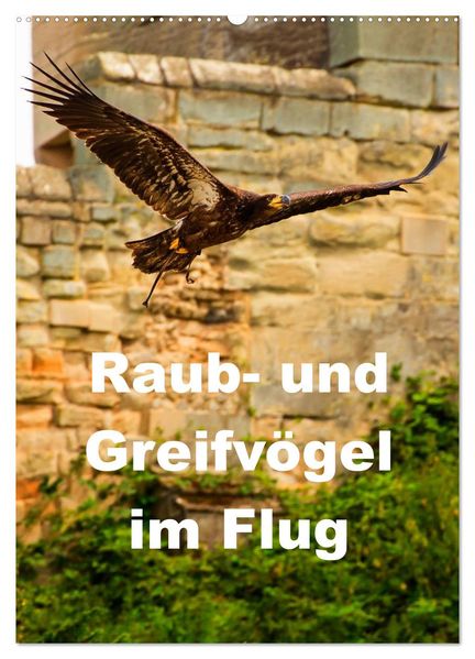 Raub- und Greifvögel im Flug (Wandkalender 2027 DIN A2 hoch) CALVENDO Monatskalender