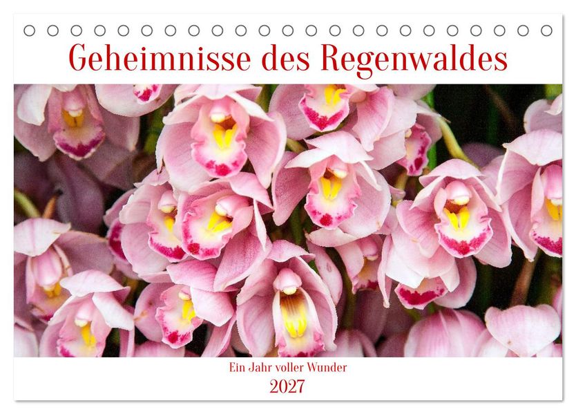 Geheimnisse des Regenwaldes (Tischkalender 2027 DIN A5 quer) CALVENDO Monatskalender