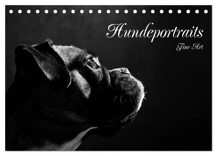 Hundeportraits Fine Art (Tischkalender 2027 DIN A5 quer) CALVENDO Monatskalender