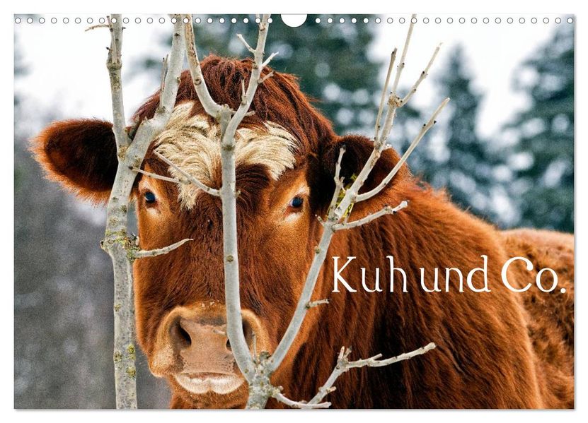 Kuh und Co. (Wandkalender 2027 DIN A3 quer) CALVENDO Monatskalender