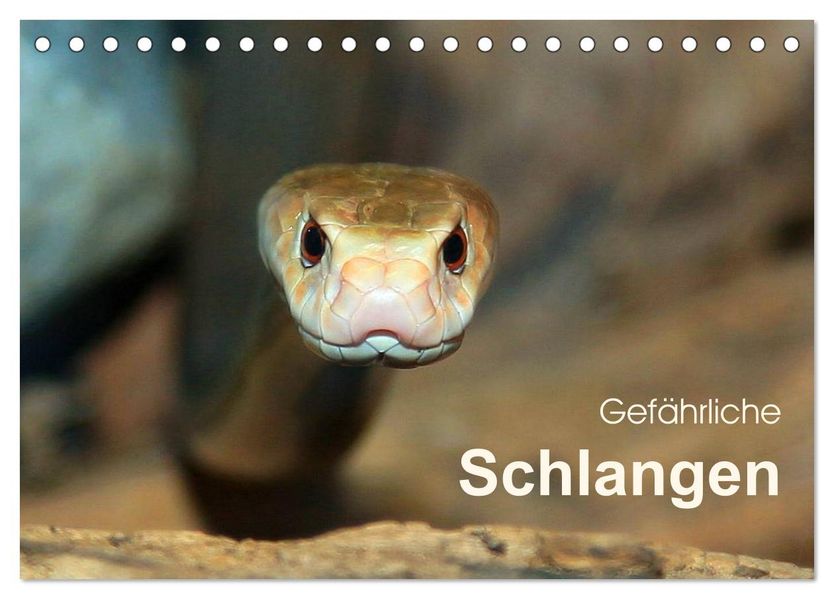 Gefährliche Schlangen (Tischkalender 2027 DIN A5 quer) CALVENDO Monatskalender