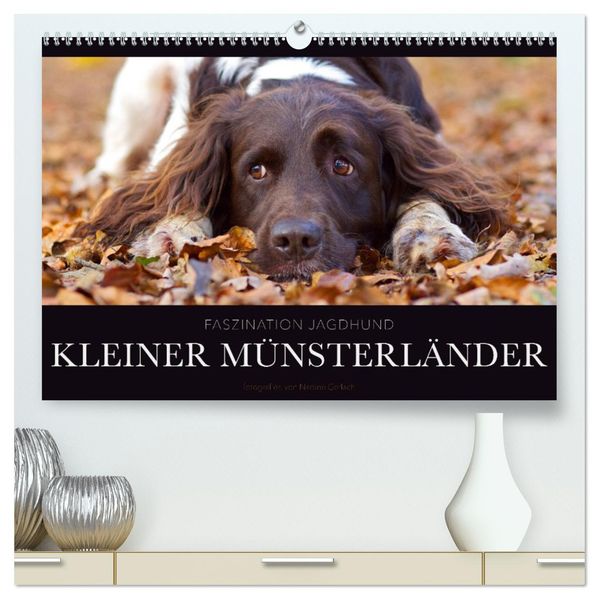 Faszination Jagdhund - Kleiner Münsterländer (hochwertiger Premium Wandkalender 2027 DIN A2 quer) Kunstdruck in Hochglanz