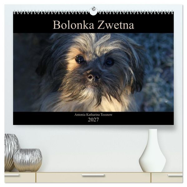 Bolonka Zwetna 2027 (hochwertiger Premium Wandkalender 2027 DIN A2 quer) Kunstdruck in Hochglanz
