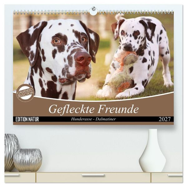 Gefleckte Freunde - Hunderasse Dalmatiner (hochwertiger Premium Wandkalender 2027 DIN A2 quer) Kunstdruck in Hochglanz
