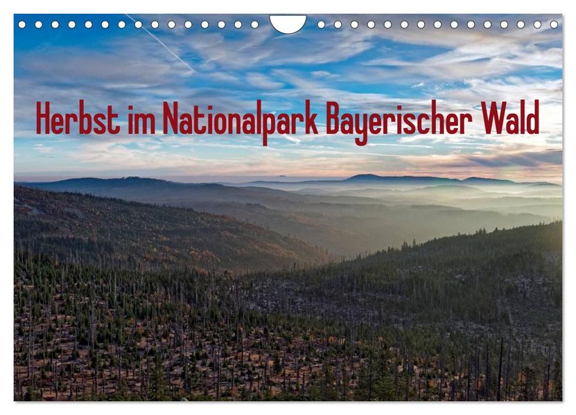Herbst im Nationalpark Bayerischer Wald (Wandkalender 2027 DIN A4 quer) CALVENDO Monatskalender
