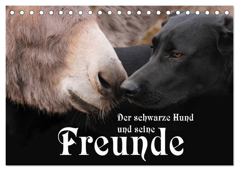 Der schwarze Hund und seine Freunde (Tischkalender 2027 DIN A5 quer) CALVENDO Monatskalender