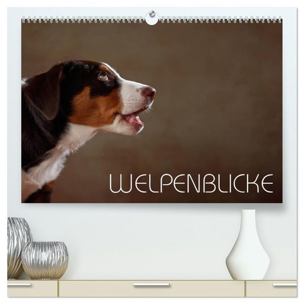 Welpenblicke (hochwertiger Premium Wandkalender 2027 DIN A2 quer) Kunstdruck in Hochglanz