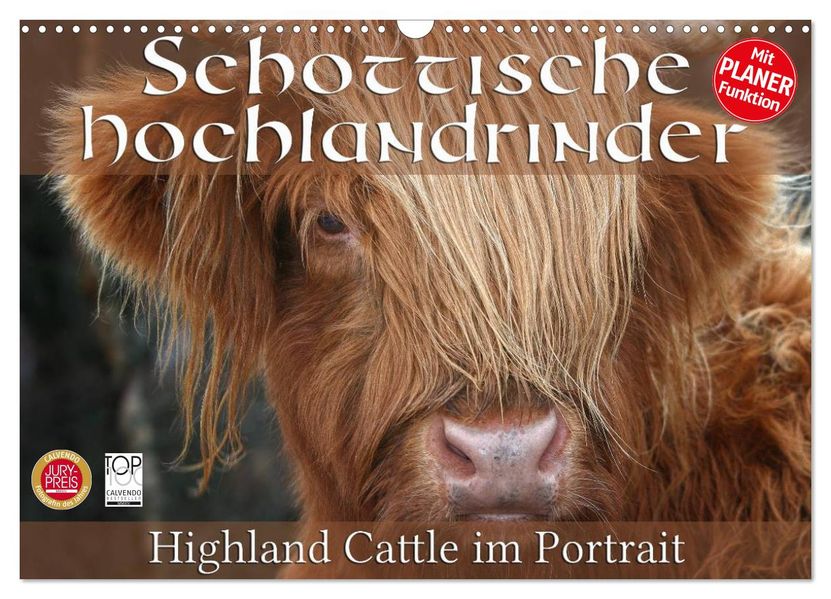 Schottische Hochlandrinder - Highland Cattle im Portrait (Wandkalender 2027 DIN A3 quer) CALVENDO Monatskalender