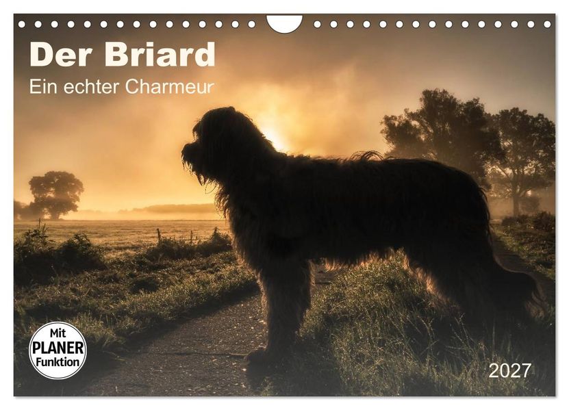 Der Briard 2027 - Ein echter Charmeur (Wandkalender 2027 DIN A4 quer) CALVENDO Monatskalender