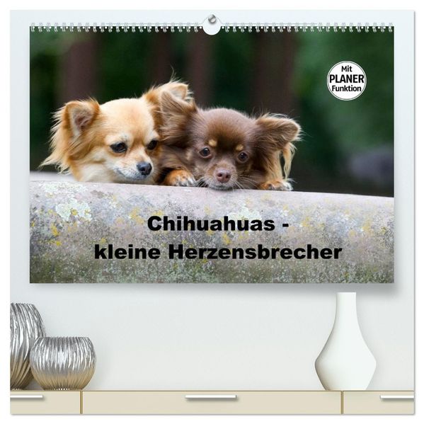 Chihuahuas - kleine Herzensbrecher (hochwertiger Premium Wandkalender 2027 DIN A2 quer) Kunstdruck in Hochglanz