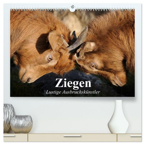 Ziegen. Lustige Ausbruchskünstler (hochwertiger Premium Wandkalender 2027 DIN A2 quer) Kunstdruck in Hochglanz