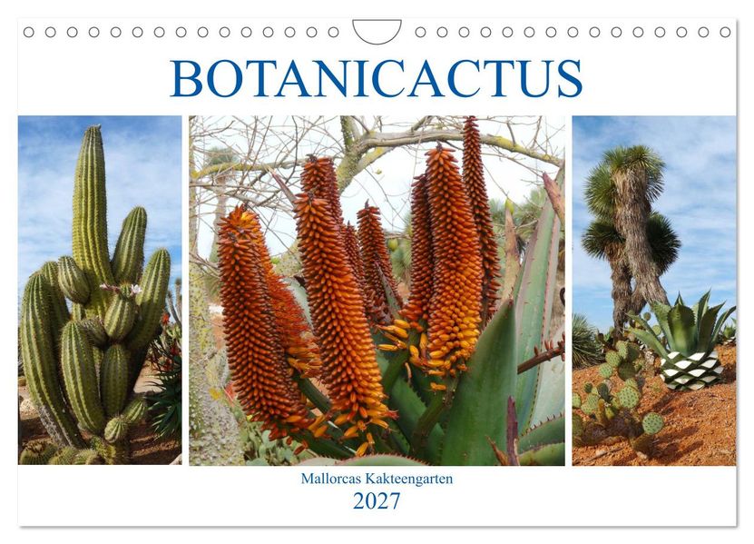 BOTANICACTUS Mallorcas Kakteengarten (Wandkalender 2027 DIN A4 quer) CALVENDO Monatskalender