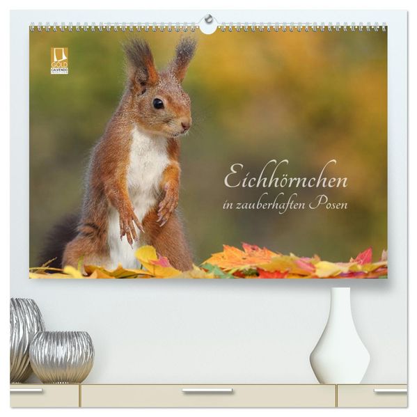 Eichhörnchen in zauberhaften Posen (hochwertiger Premium Wandkalender 2027 DIN A2 quer) Kunstdruck in Hochglanz
