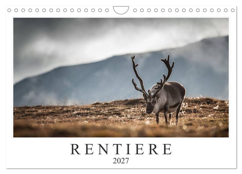 Rentiere (Wandkalender 2027 DIN A4 quer) CALVENDO Monatskalender