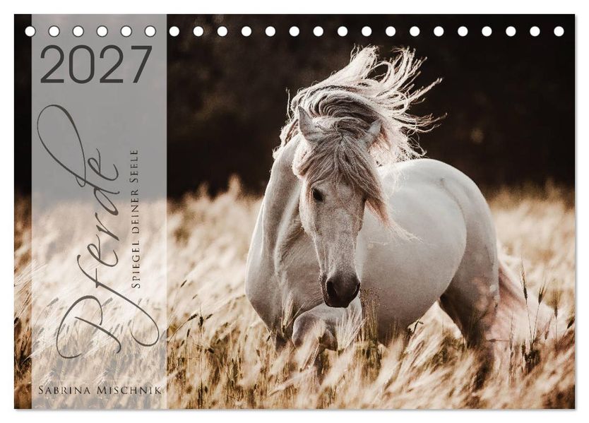 Spiegel deiner Seele (Tischkalender 2027 DIN A5 quer) CALVENDO Monatskalender