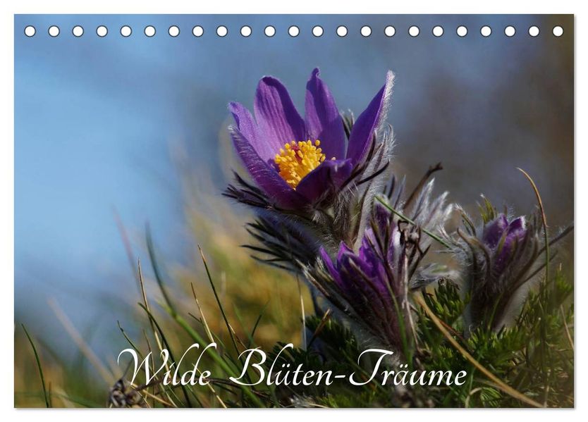 Wilde Blüten-Träume (Tischkalender 2027 DIN A5 quer) CALVENDO Monatskalender