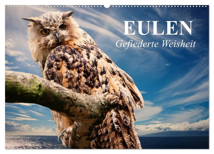 Eulen. Gefiederte Weisheit (Wandkalender 2027 DIN A2 quer) CALVENDO Monatskalender