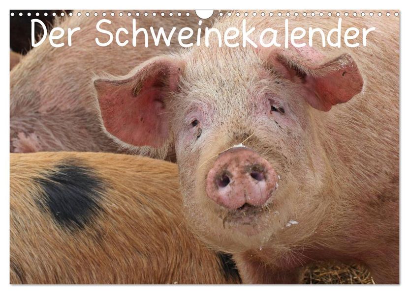 Der Schweinekalender (Wandkalender 2027 DIN A3 quer) CALVENDO Monatskalender