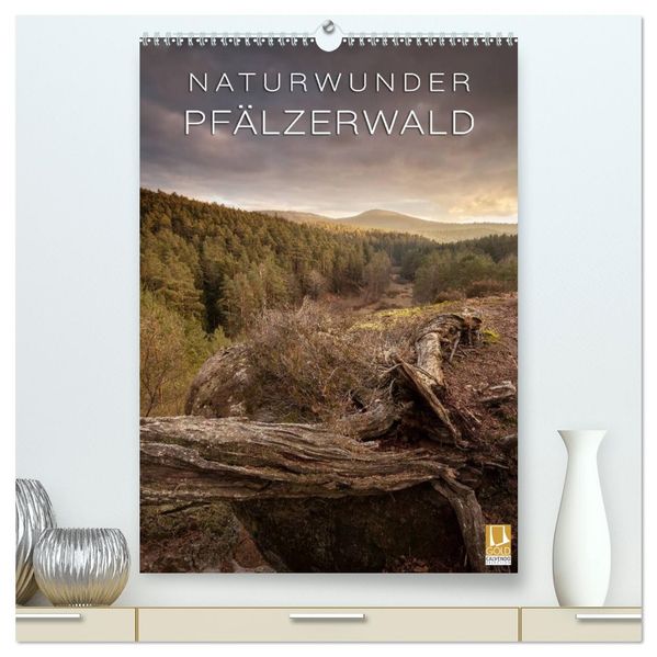 NATURWUNDER PFÄLZERWALD (hochwertiger Premium Wandkalender 2027 DIN A2 hoch) Kunstdruck in Hochglanz