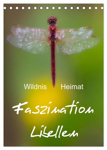 Faszination Libellen - Wildnis Heimat (Tischkalender 2027 DIN A5 hoch) CALVENDO Monatskalender